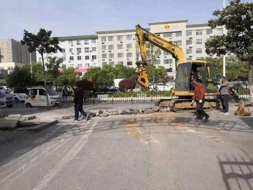 南阳学校爆料案件最新,真相揭开，校园安全再引关注